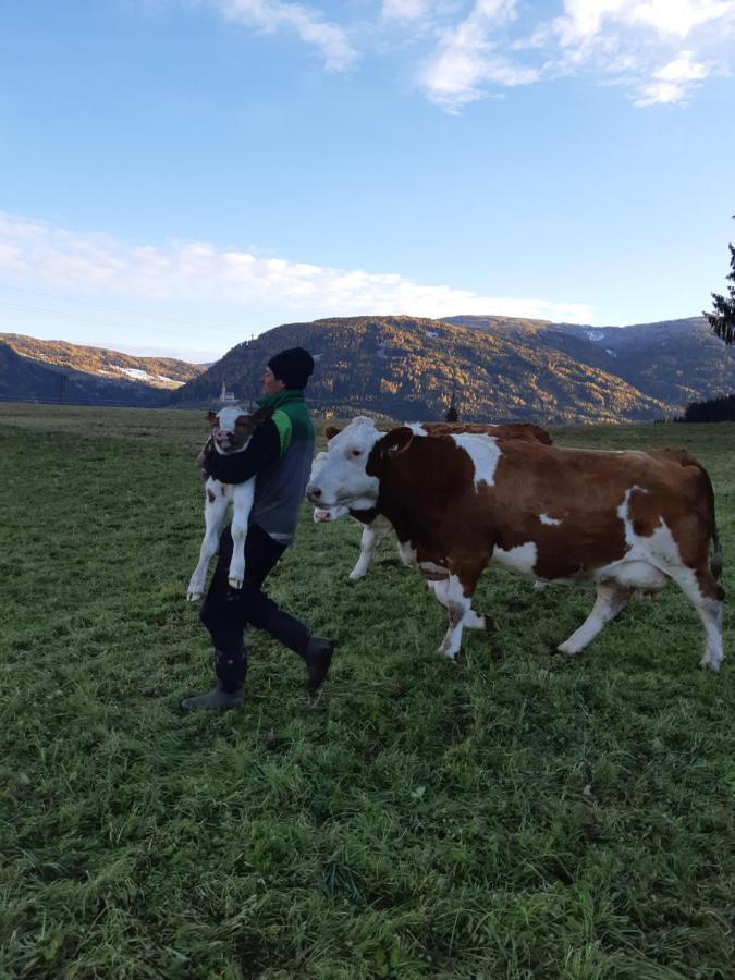 Bio Bauernhof Schoberhof Villa Sankt Andrä im Lungau Екстериор снимка
