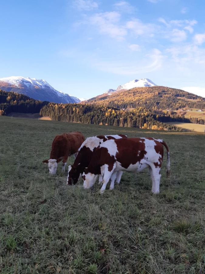 Bio Bauernhof Schoberhof Villa Sankt Andrä im Lungau Екстериор снимка