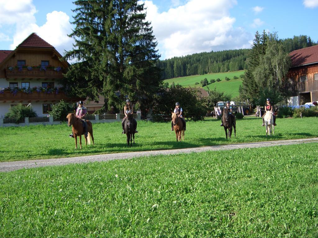 Bio Bauernhof Schoberhof Villa Sankt Andrä im Lungau Екстериор снимка