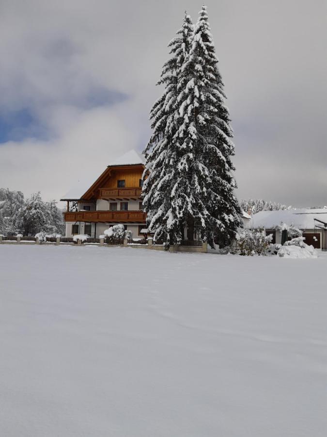 Bio Bauernhof Schoberhof Villa Sankt Andrä im Lungau Екстериор снимка